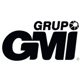 Grupo GMI